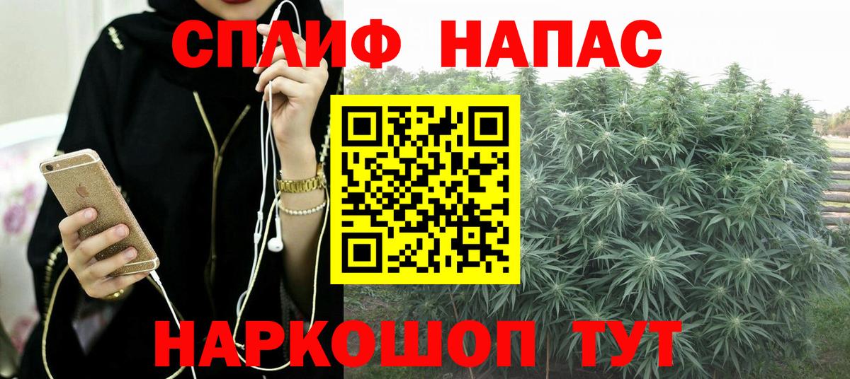 Мичуринск  Каннабис сатива  Вход с VPN  Марихуана конопля 